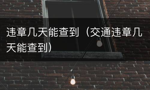 违章几天能查到（交通违章几天能查到）