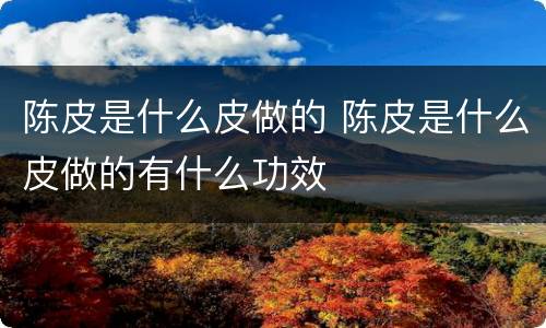 陈皮是什么皮做的 陈皮是什么皮做的有什么功效