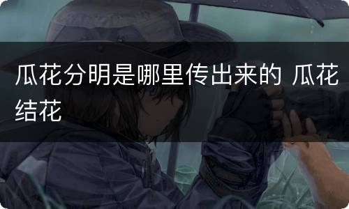 瓜花分明是哪里传出来的 瓜花结花