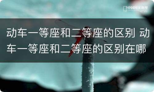 动车一等座和二等座的区别 动车一等座和二等座的区别在哪里