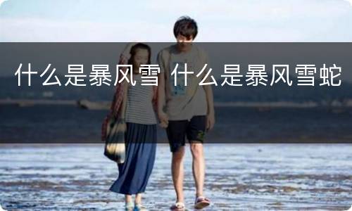 什么是暴风雪 什么是暴风雪蛇