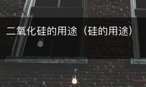 二氧化硅的用途（硅的用途）