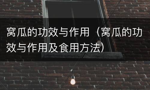 窝瓜的功效与作用（窝瓜的功效与作用及食用方法）