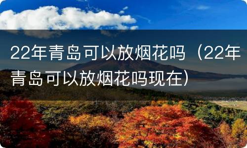 22年青岛可以放烟花吗（22年青岛可以放烟花吗现在）
