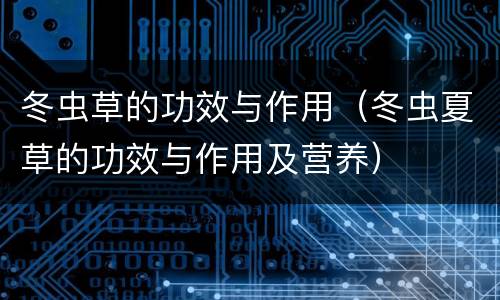 冬虫草的功效与作用（冬虫夏草的功效与作用及营养）