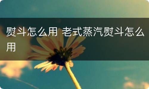 熨斗怎么用 老式蒸汽熨斗怎么用