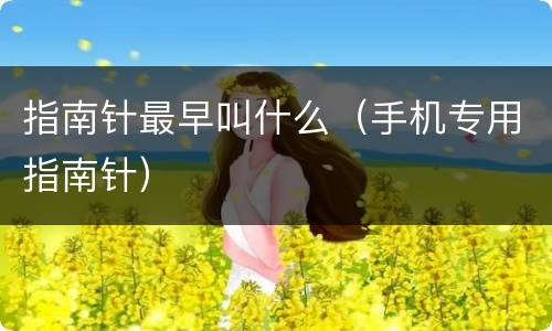 指南针最早叫什么（手机专用指南针）