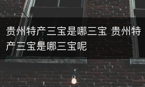贵州特产三宝是哪三宝 贵州特产三宝是哪三宝呢