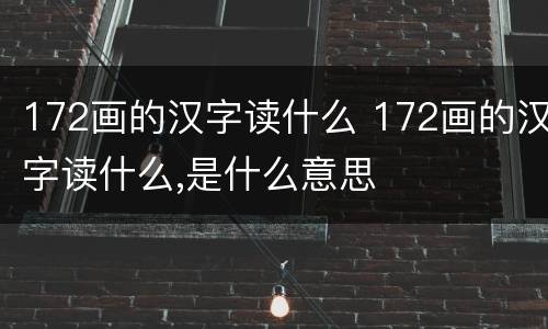 172画的汉字读什么 172画的汉字读什么,是什么意思