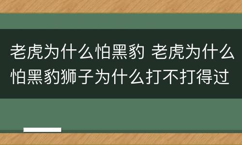 老虎为什么怕黑豹 老虎为什么怕黑豹狮子为什么打不打得过老虎?