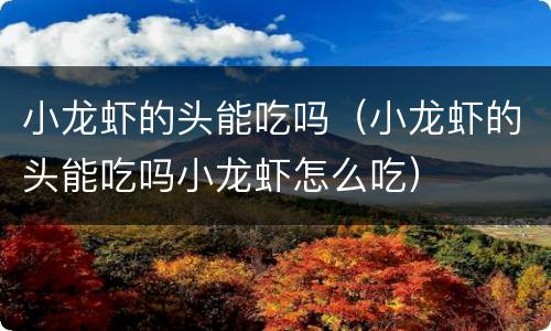 小龙虾的头能吃吗（小龙虾的头能吃吗小龙虾怎么吃）