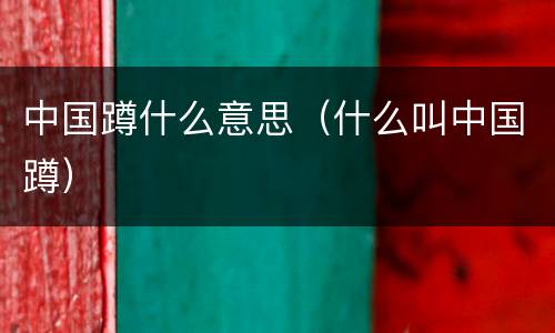 中国蹲什么意思（什么叫中国蹲）