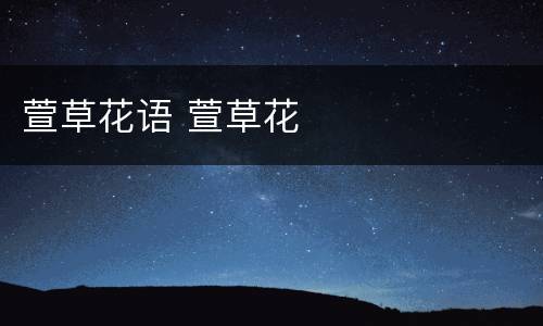 萱草花语 萱草花