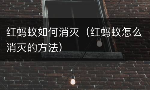红蚂蚁如何消灭（红蚂蚁怎么消灭的方法）