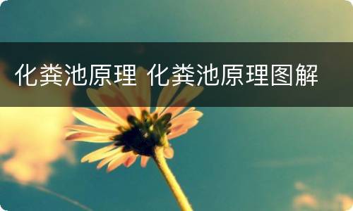 化粪池原理 化粪池原理图解