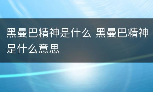 黑曼巴精神是什么 黑曼巴精神是什么意思