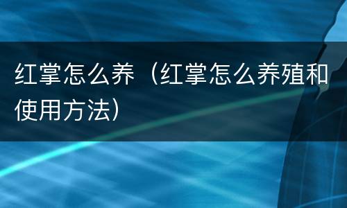 红掌怎么养（红掌怎么养殖和使用方法）