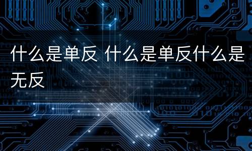 什么是单反 什么是单反什么是无反