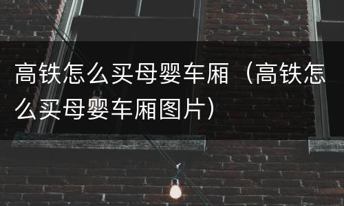 高铁怎么买母婴车厢（高铁怎么买母婴车厢图片）