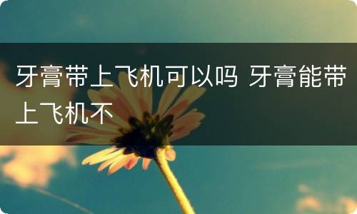 牙膏带上飞机可以吗 牙膏能带上飞机不