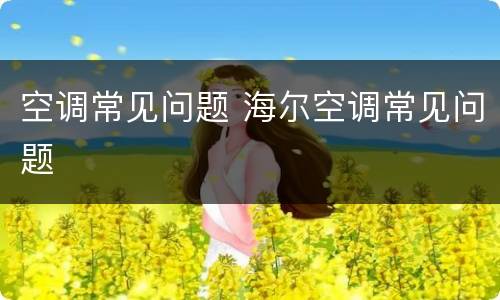 空调常见问题 海尔空调常见问题