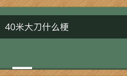40米大刀什么梗