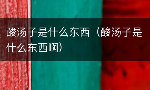 酸汤子是什么东西（酸汤子是什么东西啊）