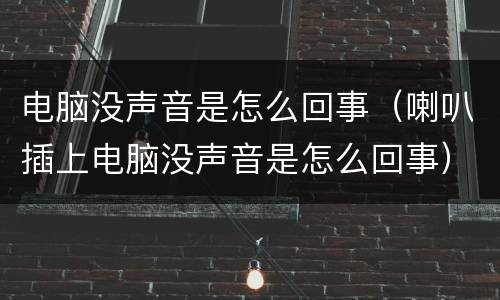 电脑没声音是怎么回事（喇叭插上电脑没声音是怎么回事）
