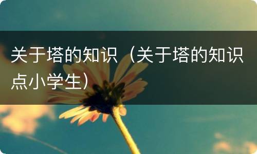 关于塔的知识（关于塔的知识点小学生）