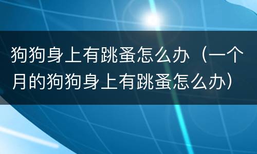 狗狗身上有跳蚤怎么办（一个月的狗狗身上有跳蚤怎么办）