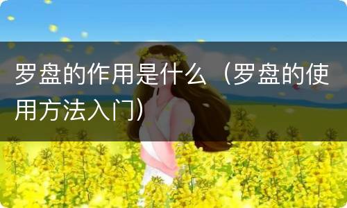 罗盘的作用是什么（罗盘的使用方法入门）