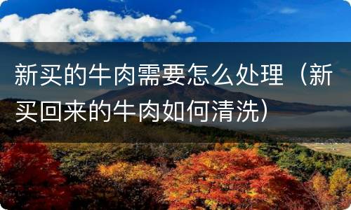 新买的牛肉需要怎么处理（新买回来的牛肉如何清洗）