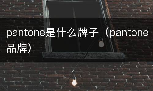 pantone是什么牌子（pantone品牌）