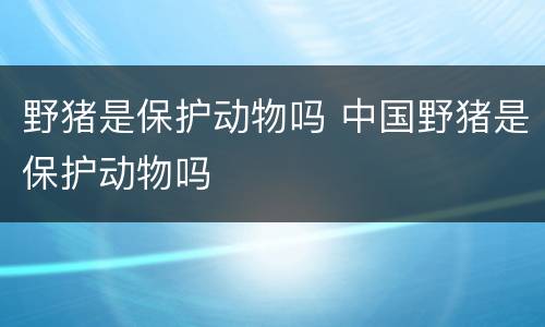 野猪是保护动物吗 中国野猪是保护动物吗