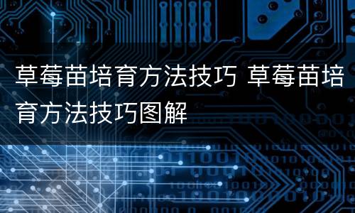 草莓苗培育方法技巧 草莓苗培育方法技巧图解