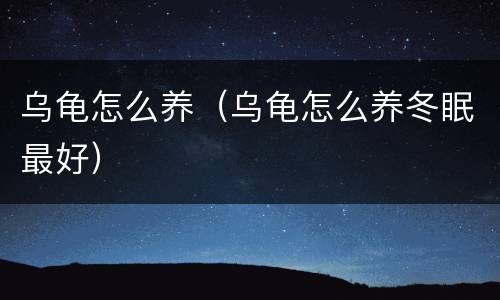 乌龟怎么养（乌龟怎么养冬眠最好）