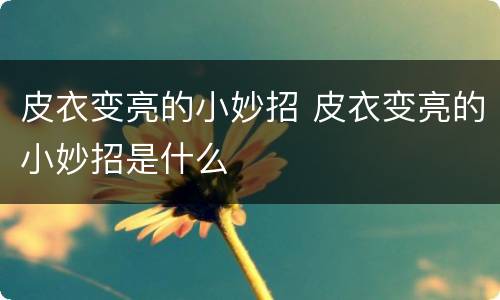 皮衣变亮的小妙招 皮衣变亮的小妙招是什么