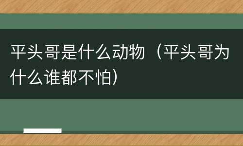 平头哥是什么动物（平头哥为什么谁都不怕）