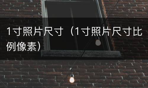 1寸照片尺寸（1寸照片尺寸比例像素）