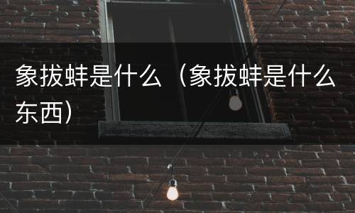 象拔蚌是什么（象拔蚌是什么东西）