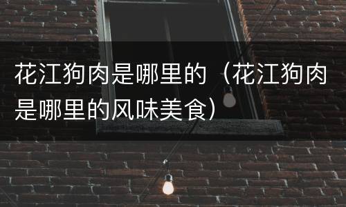 花江狗肉是哪里的（花江狗肉是哪里的风味美食）