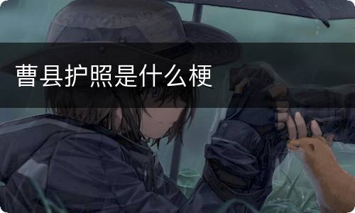 曹县护照是什么梗