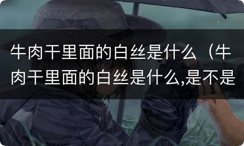 牛肉干里面的白丝是什么（牛肉干里面的白丝是什么,是不是假的）