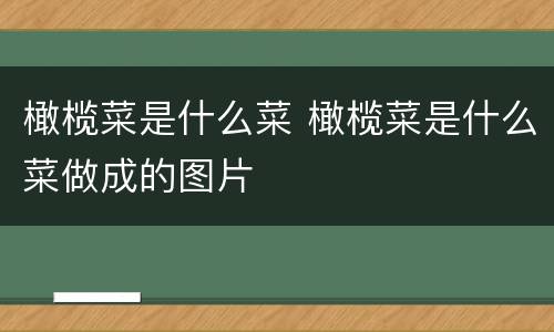 橄榄菜是什么菜 橄榄菜是什么菜做成的图片