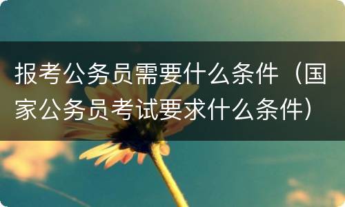 报考公务员需要什么条件（国家公务员考试要求什么条件）
