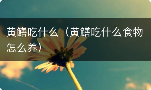 黄鳝吃什么（黄鳝吃什么食物怎么养）