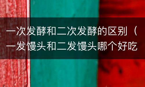 一次发酵和二次发酵的区别（一发馒头和二发馒头哪个好吃）