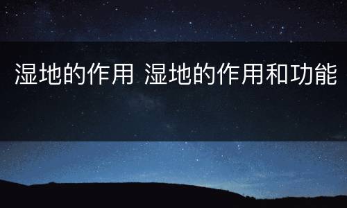 湿地的作用 湿地的作用和功能