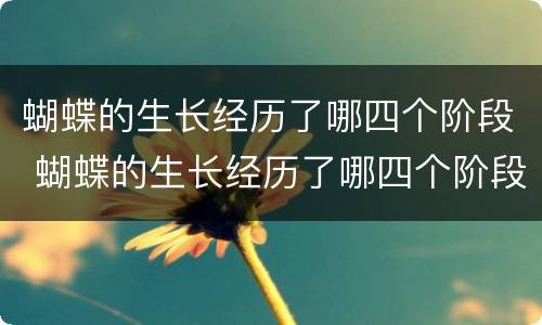 蝴蝶的生长经历了哪四个阶段 蝴蝶的生长经历了哪四个阶段的变化