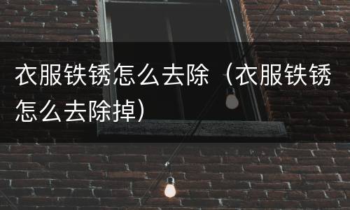 衣服铁锈怎么去除（衣服铁锈怎么去除掉）